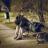 homeless.streetlife