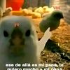 eduardo.ayala291