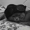 qzqzqzqzqzqz_38