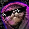 fadly5431