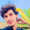 🦜NASIR_Pets Vlog🕊️🐓