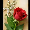 om.yassir46