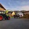 eli732355