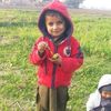 abdul.khalique361