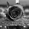md.akash7682