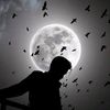 wll______qaan