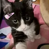 mondayclair