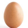 the_egg37