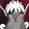 el_puck._