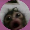 fofo77297