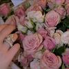 sal_sa_beel.07