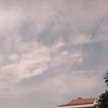 _blivee