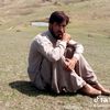 ayazahmedayaz875