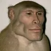 dantezzw