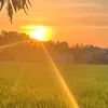 anh.chang.vui.tinh6418