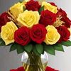 mdabdulla2874