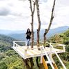 maxwell_sheantury