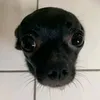 twixsrxz_