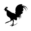 312_aihan