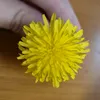 onlyvoxk