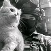 maspliiiii