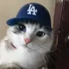 alisaa0s4