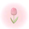 ziee_629