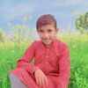 mudsirkhan4956