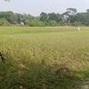 jahurul.islam2798