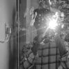 rasel.ahamed877