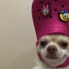 wally_the_willy