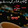 user14120435785986