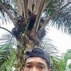 benteebuj4ngjambi