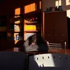 creatureinutile