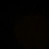 lup__010
