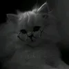 .chpunk987