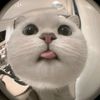 kyaz_p
