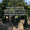 akusukaelsaa