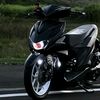yayan.bott4