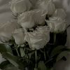 user18593014421945