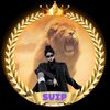 user86380130659617