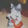 zsorro_