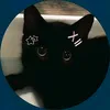 hello._.kitty4life1