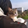 boushra9446