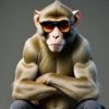 helloprofiles