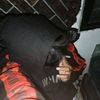 dainzzer_dz