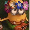 darwish.yoyo