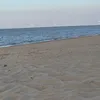 kamy.k4