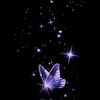 _.cherry.vx