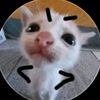 emy_0061